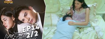 Private: [ID: 2mM5SL1jr24] Youtube Automatic