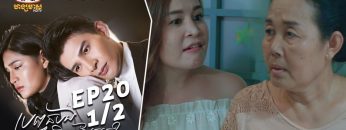 Private: [ID: P9GnXMpkZ1Q] Youtube Automatic