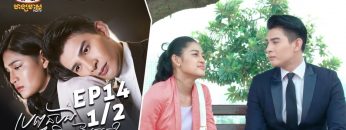 Private: [ID: S8o-wes37eo] Youtube Automatic