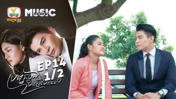 Private: [ID: S8o-wes37eo] Youtube Automatic